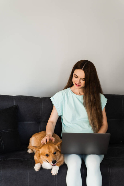 Lifestyle girl and Corgi dog. Girl with laptop petting her Welsh Corgi Pembroke dog at home. Busy young woman have a break and relax with her dog. Lifestyle with domestic pet - Foto, Bild