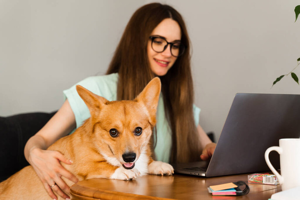 Distance education. Girl student in glasses with laptop study online with her lovely Corgi dog at home. Young woman hug Welsh Corgi Pembroke. Lifestyle with domestic pet. - Fotografie, Obrázek
