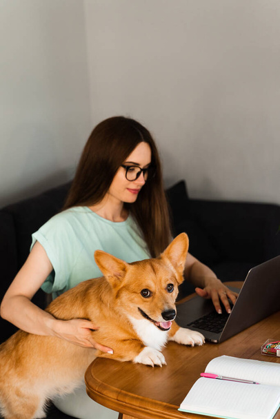 Business woman in glasses working on laptop online and hug Corgi dog. IT specialist girl working remotely and petting her dog with Welsh Corgi Pembroke. Lifestyle with domestic pet at home - Fotoğraf, Görsel