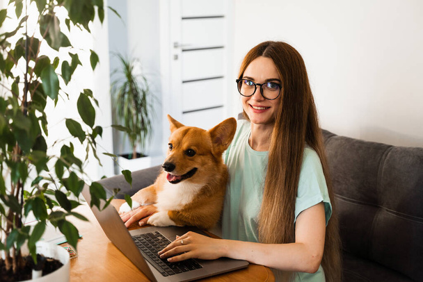 Business woman in glasses working on laptop online and hug Corgi dog. IT specialist girl working remotely and petting her dog with Welsh Corgi Pembroke. Lifestyle with domestic pet at home - Photo, image