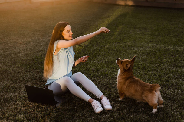 Lifestyle girl and Corgi dog outside. Girl with laptop petting her Welsh Corgi Pembroke dog on the grass. Busy young woman have a break and relax with her dog. Lifestyle with domestic pet - 写真・画像