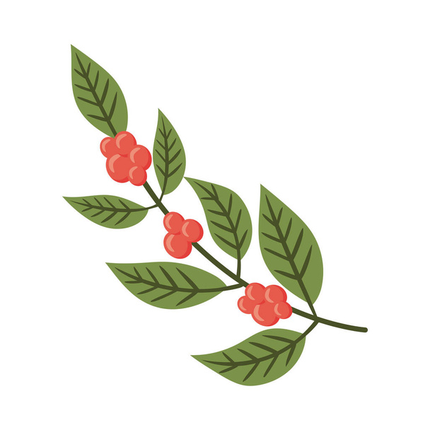 coffee branch with seeds icon - Vector, imagen