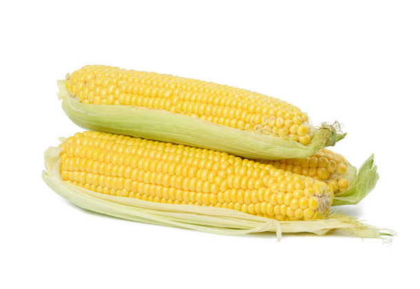 Stack of corn cobs with yellow grains isolated on white background - Photo, image