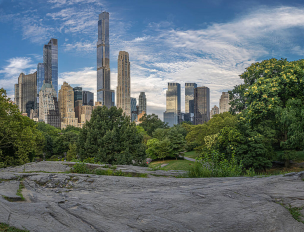 Central Park in New York City in de zomer - Foto, afbeelding