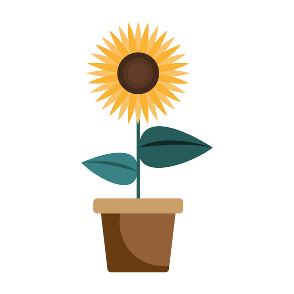 houseplant with sunflower nature icon - Vector, Image