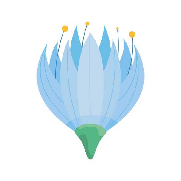 blue flower with pistils nature - Vector, Image