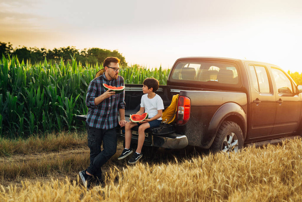 father and son sitting on trunk of truck and talking. they are outdoor in field eating watermelon - Photo, image