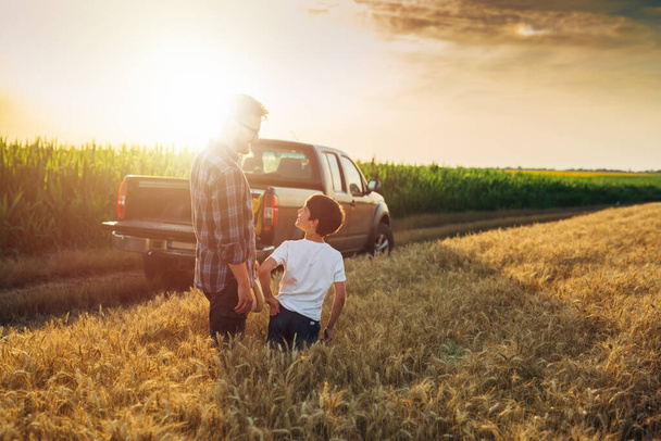 father and son walking through wheat field - Fotografie, Obrázek