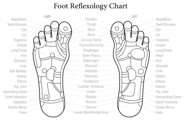 Ρεφλεξολογία ποδιών γράφημα διάρθρωσης - Διάνυσμα, εικόνα
