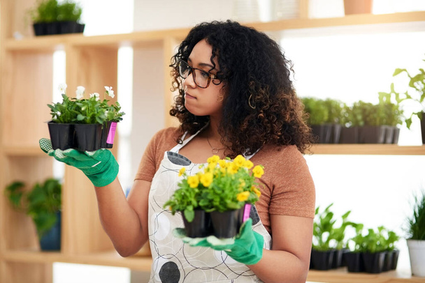 Let me see here... an attractive young female botanist comparing two sets of plants while working in her florist - Photo, Image