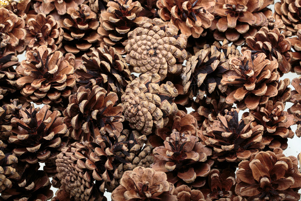 Contexto dos cones de pinheiro naturais secos
. - Foto, Imagem
