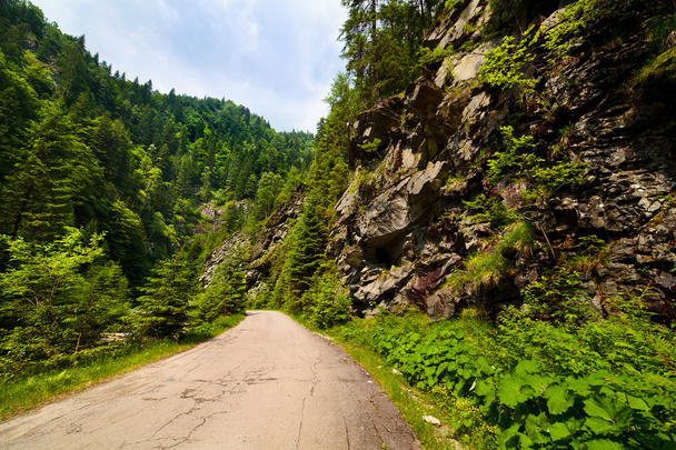Latoritei Valley in Romania - Фото, изображение