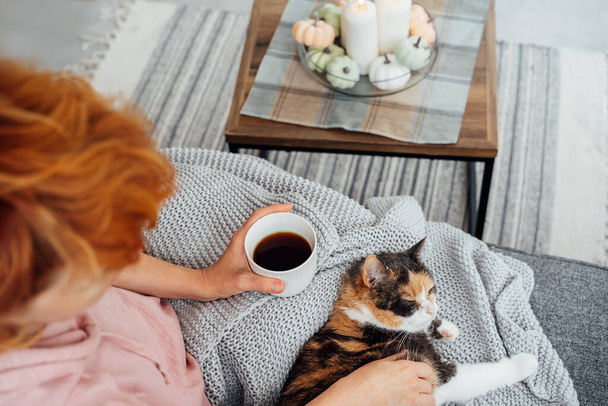 Top view woman with plaid drinking hot tea and stroking relaxed multicolored cat on sofa at home decorated for fall holidays. Cozy, comfortable autumn weekend concept. Rest and relax. Selective focus. - Φωτογραφία, εικόνα
