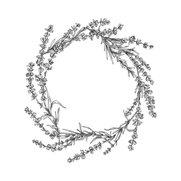 Beauty lavender wreath with leaves in outline sketch style, vector illustration isolated on white background. Elegant provence flower in shape of circle. Great for wedding design. - Vektör, Görsel