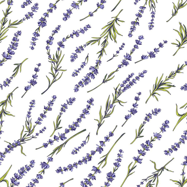Lavender seamless floral pattern, hand drawn sketch vector illustration on white background. Elegant provence plant with green leaves and purple flowers. - Vektor, Bild