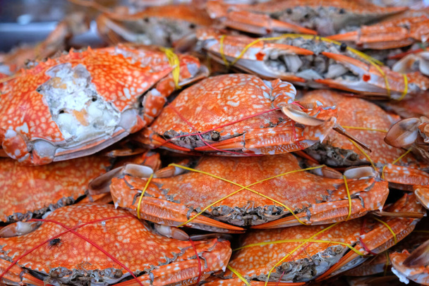 Heap of steamed blue crabs, fresh seafood - Foto, Imagen