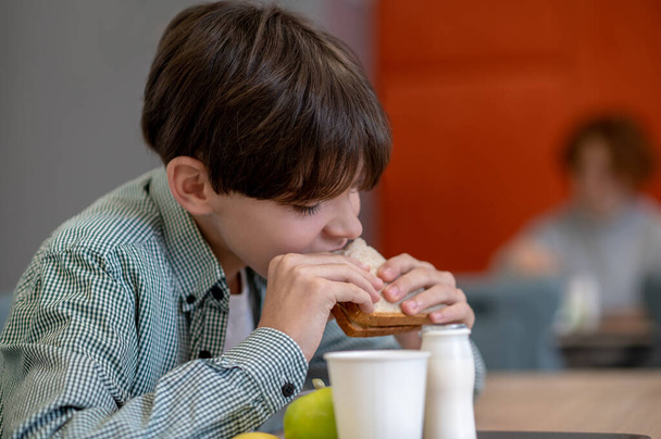Lunch. Dark-haired boy eating sandwich in a school canteen - 写真・画像