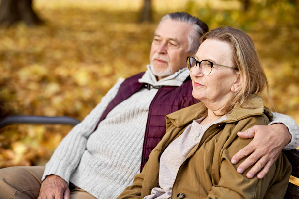 Senior caucasian couple sitting at the bench in park   - Фото, изображение