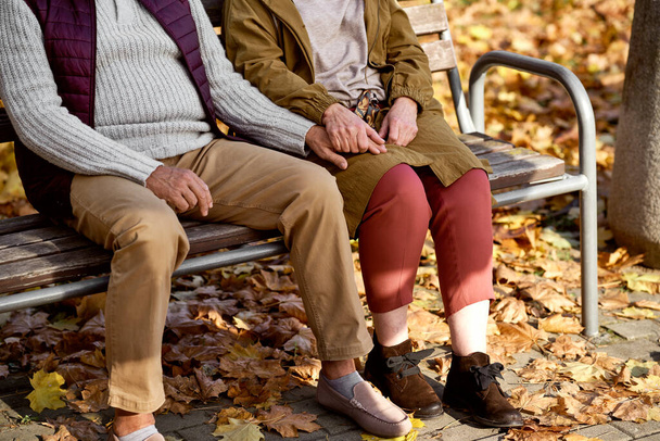 Χαμηλό τμήμα του ηλικιωμένου ζευγαριού που κάθεται στον πάγκο στο πάρκο   - Φωτογραφία, εικόνα