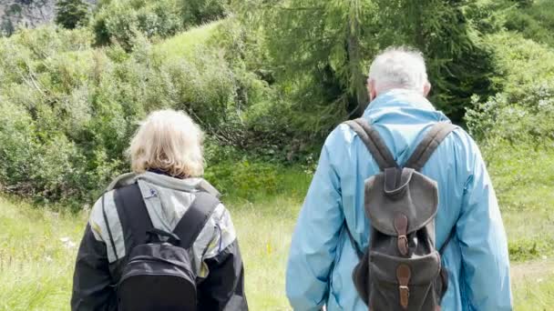 アルプスの山の遠足、夏の季節の間に高齢者のカップル. - 映像、動画