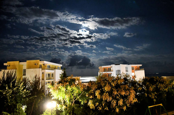 Romantic night blue sky residential buildings green trees lonely lantern - 写真・画像