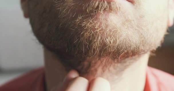 Young man strokes his beard. Close-up, face, portrait, front view. Concept of ponder, meditate, philosophize. High quality 4k footage - Séquence, vidéo