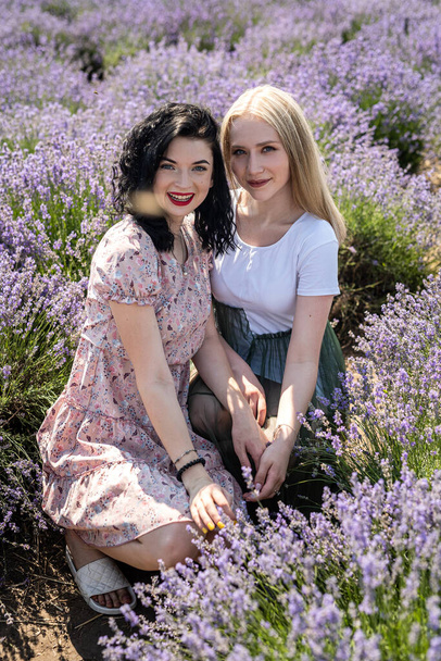two girlfriends have a good time on a lavender field summer time - Foto, immagini