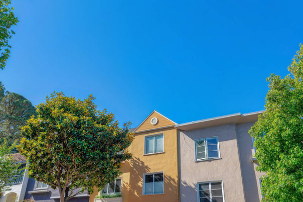 Фасад соседних домов с покрашенными штукатурными стенами в Сан-Франциско, Калифорния. Рядом со светлым домом справа, рядом с желтым домом, растут маленькие деревья.. - Фото, изображение
