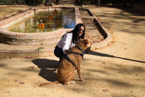 若い美しい女性は彼女の写真を撮っている間、公園で彼女のガイド犬と一緒にいます。盲人やペットのためのコンセプトガイド犬. - 写真・画像