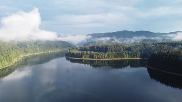 Calm surface of the lake reflects the surrounding scenery made up of trees and impermeable fog that brings moisture to the area. 4k video - Imágenes, Vídeo