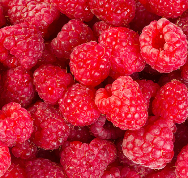 raspberries background - Photo, Image