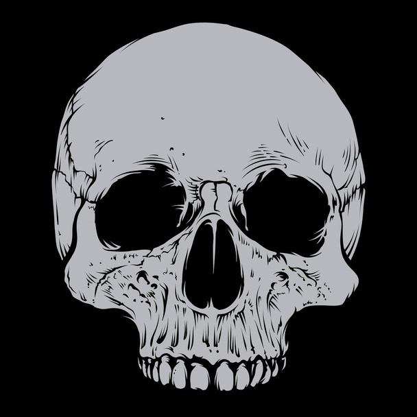 Skull vector With Silver Color - Vecteur, image