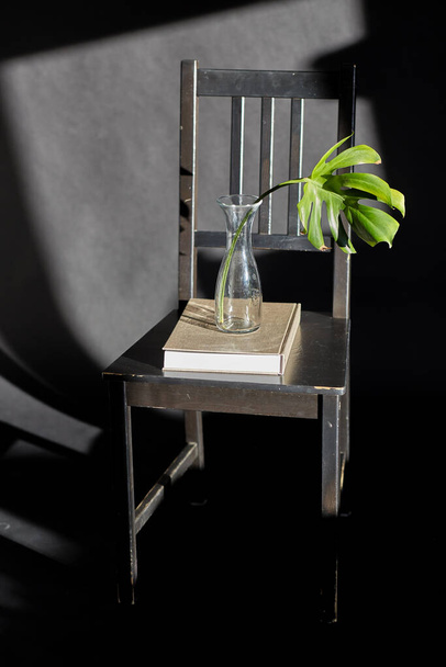 interior and home decor concept - monstera leaf in glass vase and book on vintage chair on black background - Fotoğraf, Görsel
