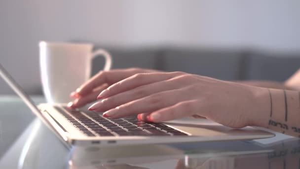 Женщина печатает дома на клавиатуре ноутбука - Кадры, видео