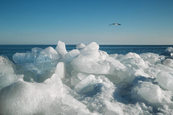 Close up of broken pieces of sea ice at a coast - Zdjęcie, obraz