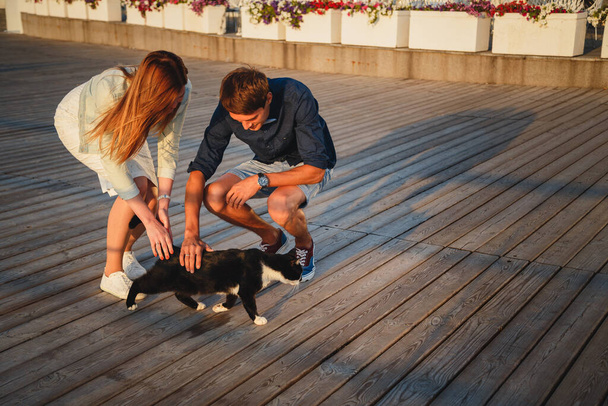 Young couple playing with a cat outside at the beach at the wooden deck summer time. - 写真・画像