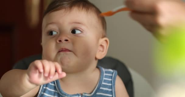 Parent feeding baby boy toddler on highchair - Video