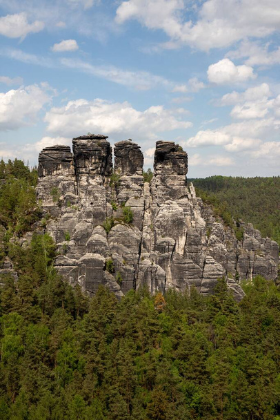 A vertical shot of Saxon Switzerland Mountains covered with greenery in Germany - Fotografie, Obrázek