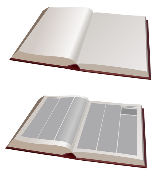 vectorillustratie - twee grote boeken open - Vector, afbeelding