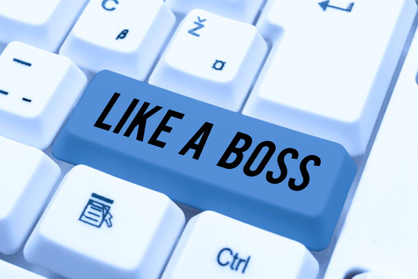 Текстовый знак, показывающий, как босс, бизнес-идея Ведя себя так, как будто вы тот, кто отдает приказы в работе или ситуации -48677 - Фото, изображение