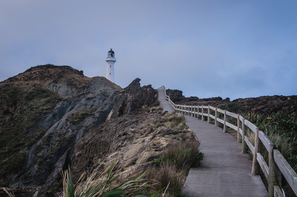 Faro de Castle Point, Nueva Zelanda
 - Foto, imagen