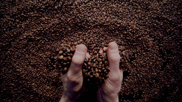 Closeup full hands of fragrant coffee beans pouring on large heap fresh harvest. Unknown man taking filled palms aromatic seeds. Roasted brown grains falling down on pile arabica super slow motion.  - Foto, Bild