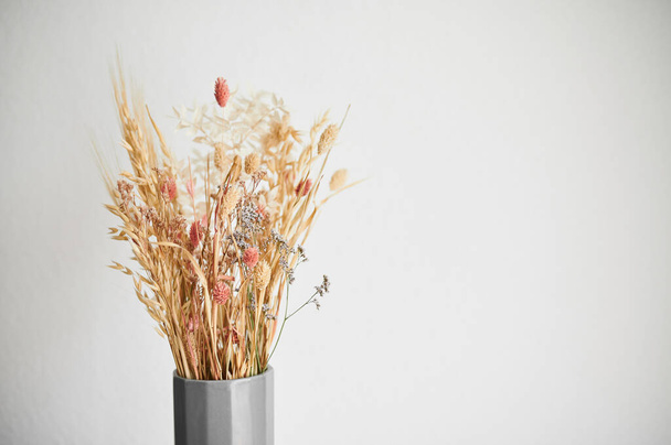 Beautiful dried flowers in a gray vase, against the background of a white wall in the interior. Wheat in a vase. - Фото, зображення