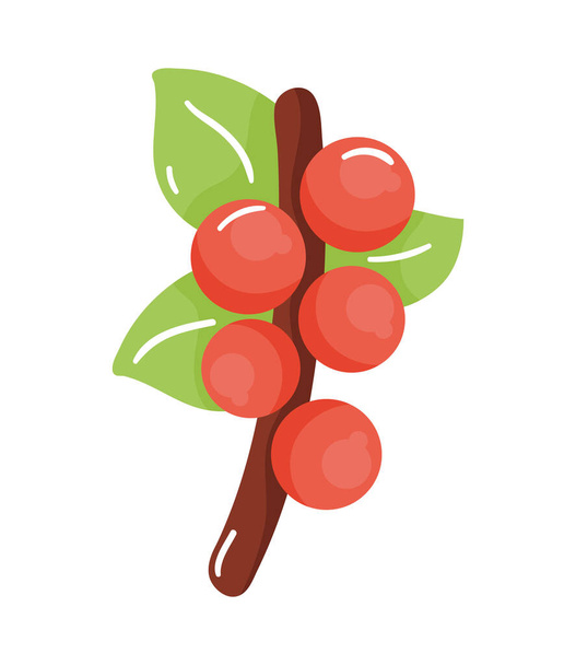 coffee plant seeds nature icon - Vector, imagen