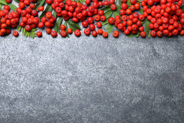 Fresh ripe rowan berries and green leaves on grey table, flat lay. Space for text - Φωτογραφία, εικόνα