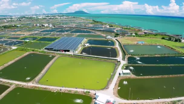 Aerial view of Solar panel farm on  fish pond for electricity generation - Felvétel, videó