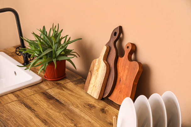 Cutting board, aloe vera in pot and plates on counter near beige wall - Foto, Imagem