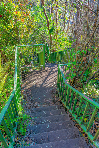 Outdoor stairs on a slope with concrete steps and painted green metal railings- San Francisco, CA. High angle view of a stairs with landing in the middle of wild shrubs and trees. - Foto, Bild