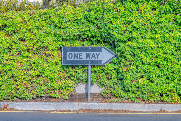 One way sign pointing to the right against the green vines - San Francisco, California. Floor-mounted street sign near the wall with crawling plants. - 写真・画像
