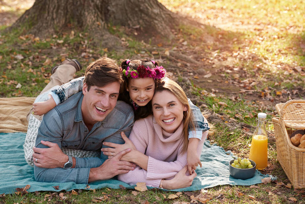 Fun is all in the family. a happy young family enjoying a picnic in the park - Photo, Image